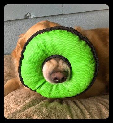 Maggie demonstrates the proper way to hold the ring toss toy.