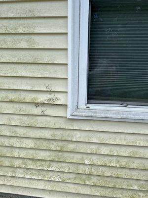 We have PAID for pressure washing. Someone got paid but didn't do the work. And a grill was too close to the house and warped our siding.