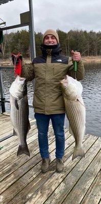 A couple of big Striped Bass