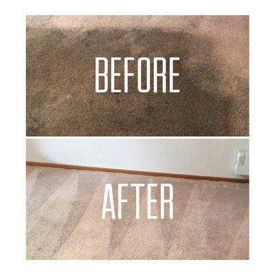 Home or commercial carpet cleaning, we do it all. And we do it right.  Call now: 951-652-1973!