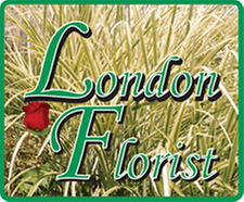 London Florist Greenhouse Ctr