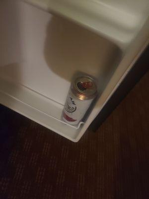 Open beer can in fridge