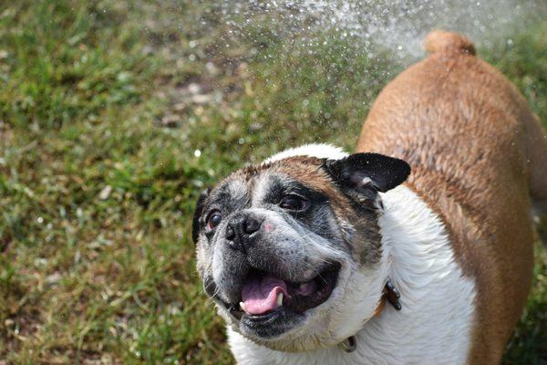 Who loves water, "I do!"