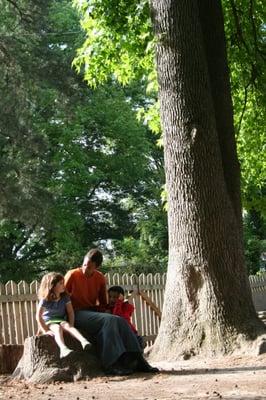 Peaceful moment on the Richmond Waldorf School playground