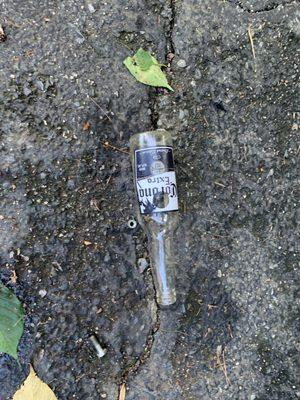 this is what I found on the driveway in the morning. It speaks for itself