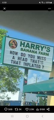 Harry's Banana Farm