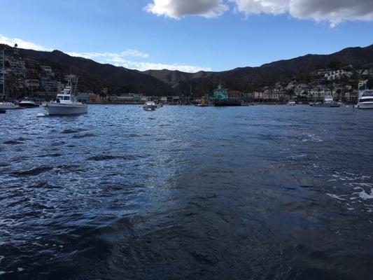 High Tide Traders - harbor