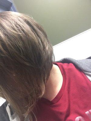 The cut I got. Beautiful cut just too short for my age and style.