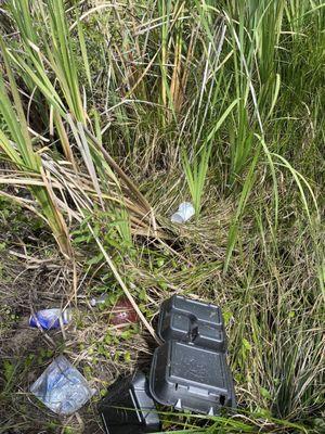 Zaxby's styrofoam in the pond grass