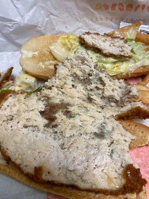 Orange City Burger King served this. Where is the Chicken? This smelled so bad.