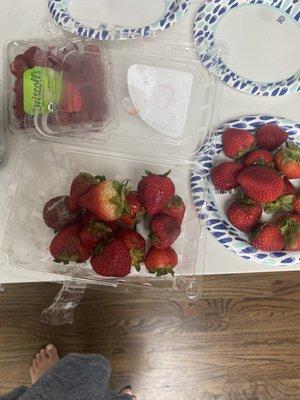 Strawberries on the left side were all rotten