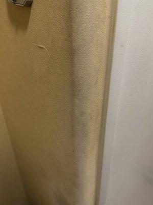 Wall behind shower curtain