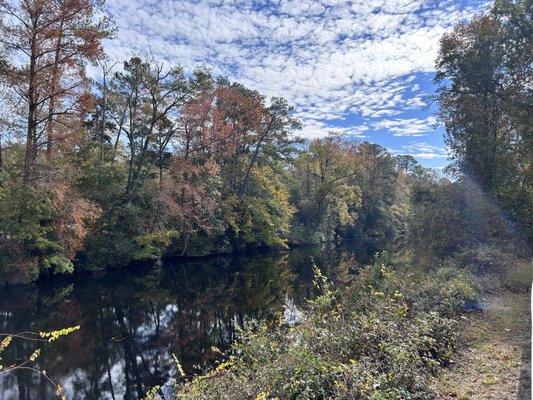 Dismal Swamp Canal in fall