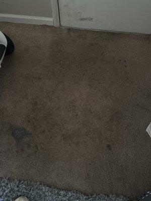 This is the carpet when I moved in they attempted to clean it it's not fluffy or anything. Like walking on a hard surface.