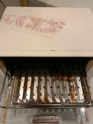 Bugs in the oven