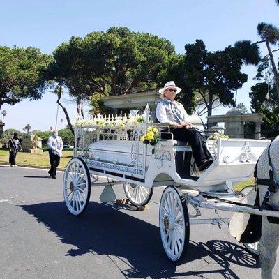 G&F Carriages horse drawn hearse