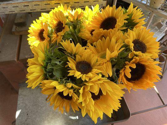 Beautiful sunflowers