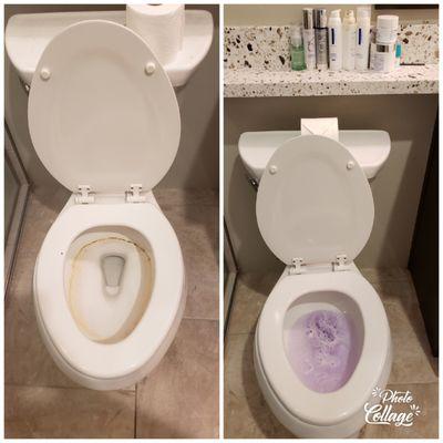 Dirty Bathroom Toilet Cleaning