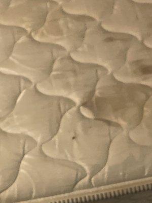 Nasty stains on mattress covered up with sheets and blankets