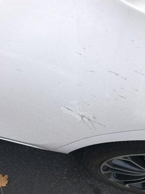 Car scratches and dirt post stay. You can see where I wiped trying to remove scratch.