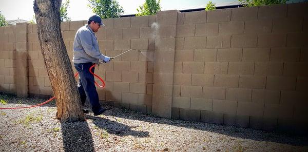 Remember, it's not just about your home. Our Gilbert pest control experts also take care of the yard! Even the block walls!