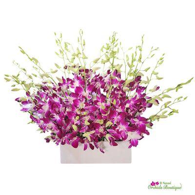 The wow factor is evident with this Dendrobium cut orchids