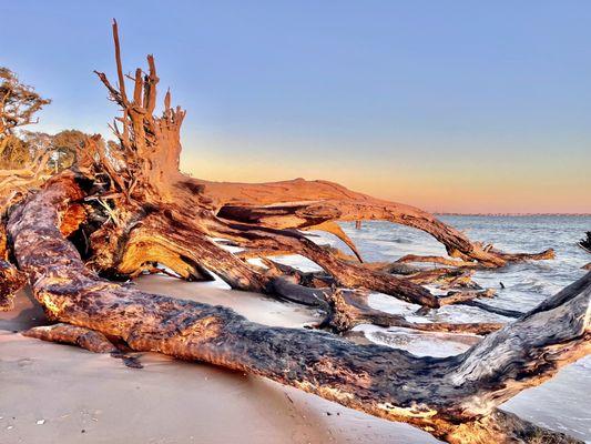 Boneyard beach, sunrise