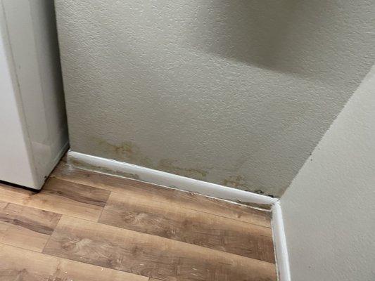 Water damage in apartments and laundry room