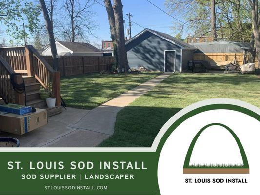 A tall fescue sod installation in St. Louis' infamous  "The Hill"neighborhood!