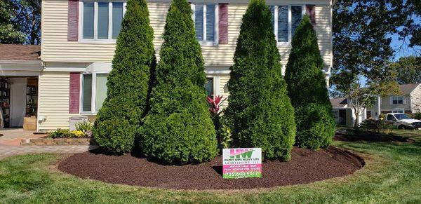 Chocolate brown mulch!!!