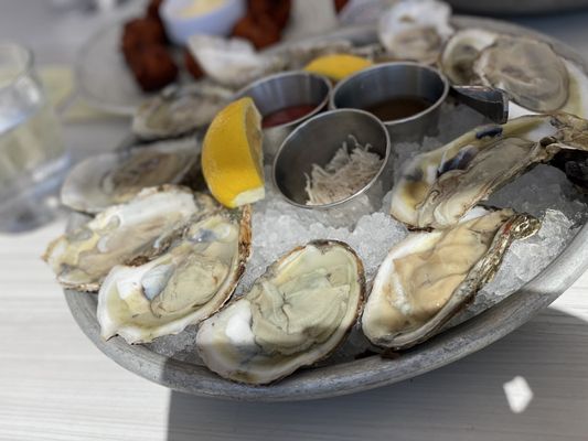 Chef Selected Oysters