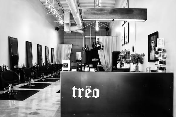 Treo Salon