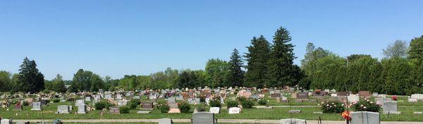 Buy a plot if you're headed in, even for a simple checkup.