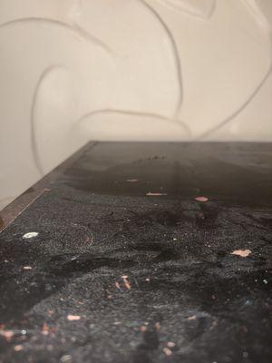 Dirty microwave shelf with roach droppings