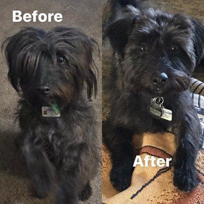 His first haircut!! So stinking cute in both, but look how great Sarah made him look! ♥