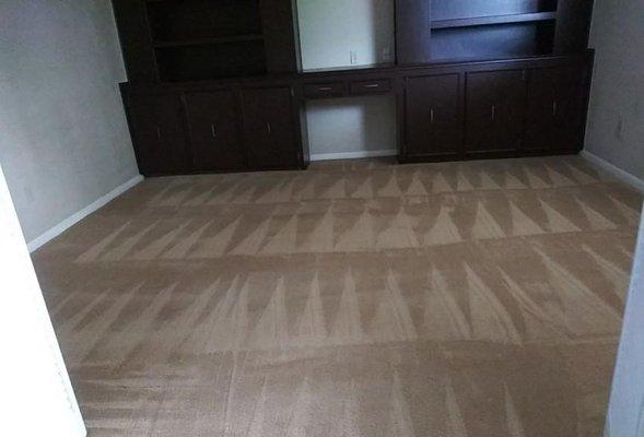 Carpet Shampoo