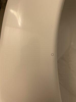 Hair on the toilet seat