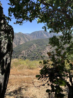 Captured while resting at the top by the oak tree and picnic table.