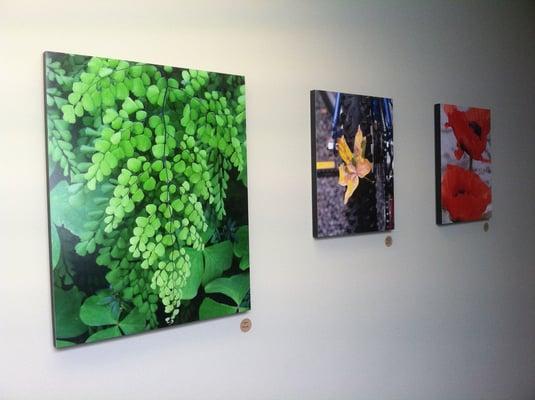 Just a taste of the art displayed around the clinic from a local photographer!