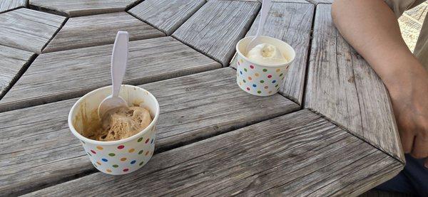 Vanilla and Coffee Flavor Ice Cream