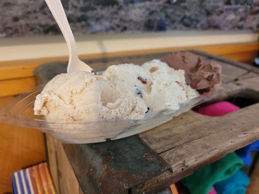 Sampler with brownie batter, rum rasin, cookie dough, and snickerdoodle