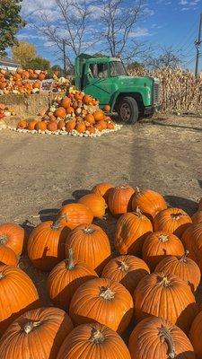 Rocky Mountain Pumpkin Ranch Inc