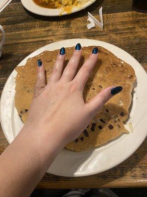 Two chocolate chip pancakes