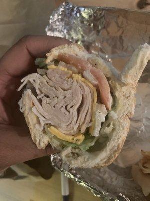 Turkey sub