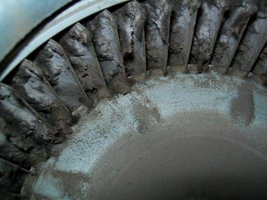 This is a blower wheel in a gas furnace that has not been serviced in years.   A good cleaning can make a huge difference!