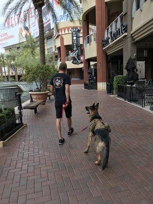 Great day today working with this disabled U. S. Marine and his soon to be service dog, Scout. We worked landscaping (large machine sounds),