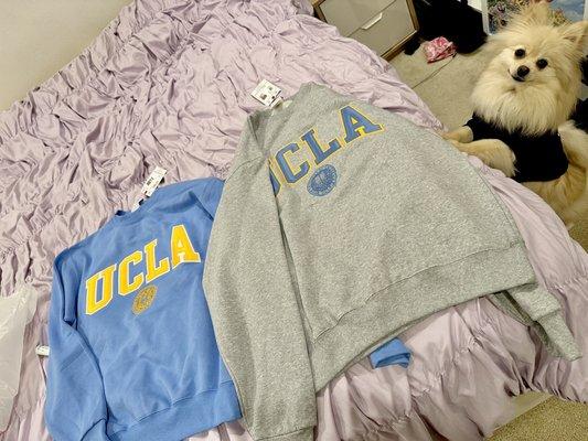 Champion ucla hoodies! Ft. Boba the pom C: