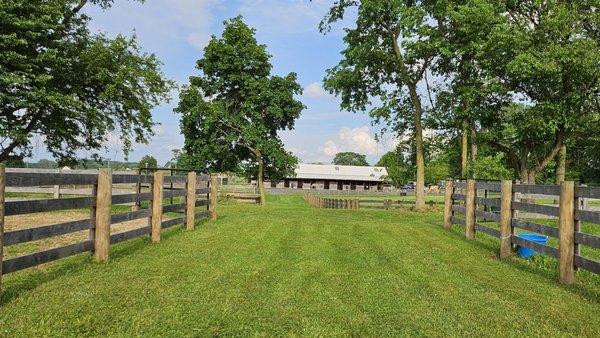 Hollyhurst Farm