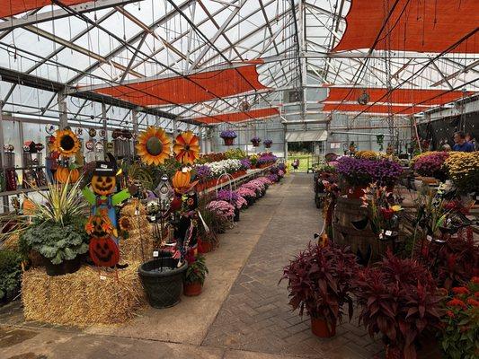 Banotai Greenhouses