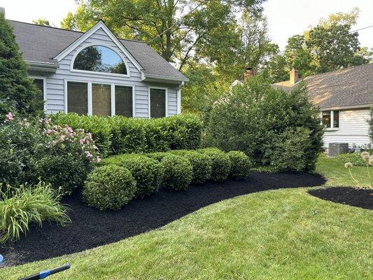 Kim’s Landscaping